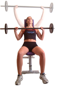 barbell shoulder press muscle exercise