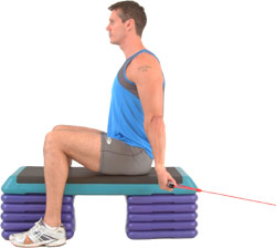 aim to keep your back straight throughout the movement